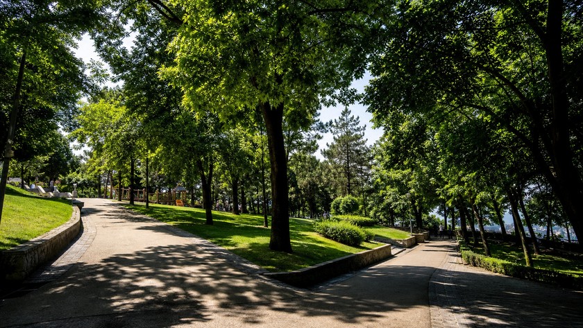 Abbasağa Parkı