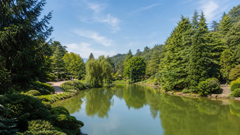 Atatürk Arboretumu