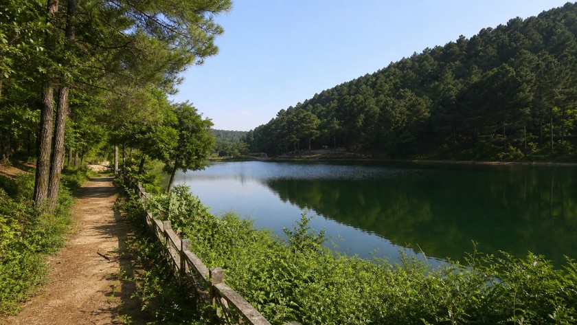 Aydos Ormanı