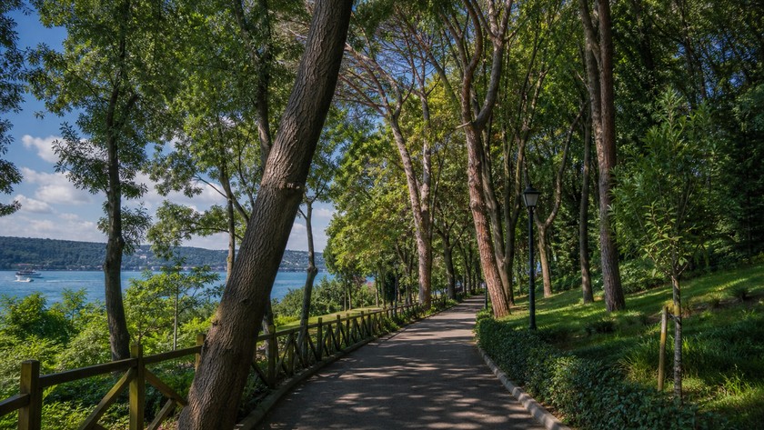 Beykoz Korusu