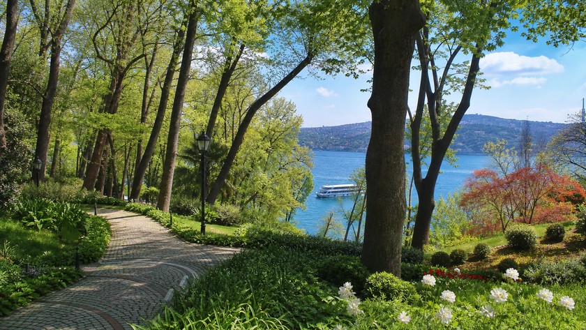Emirgan Korusu