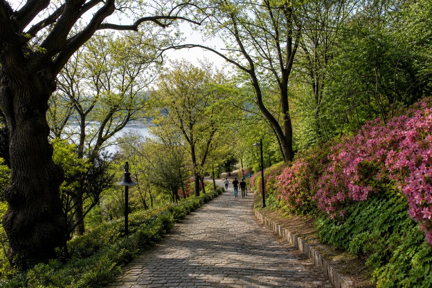 Emirgan Korusu yürüyüş yolu
