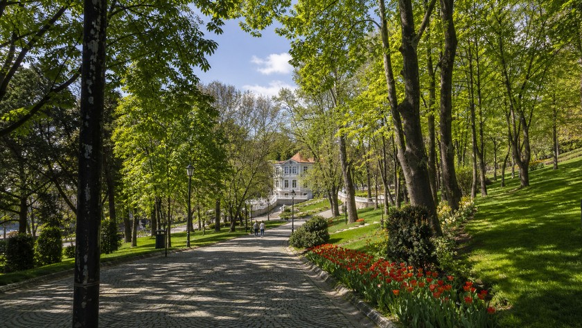 Emirgan Korusu