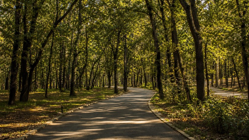 Florya Atatürk Ormanı