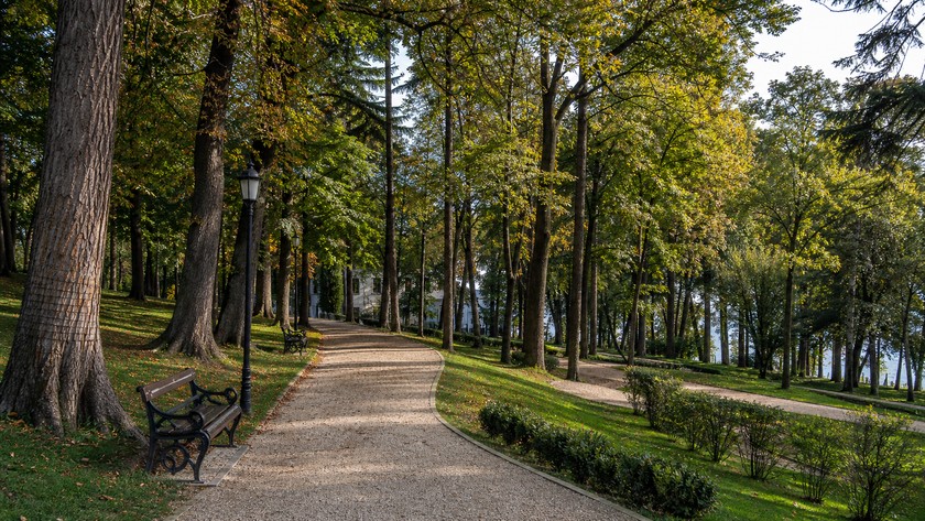 Yıldız Parkı
