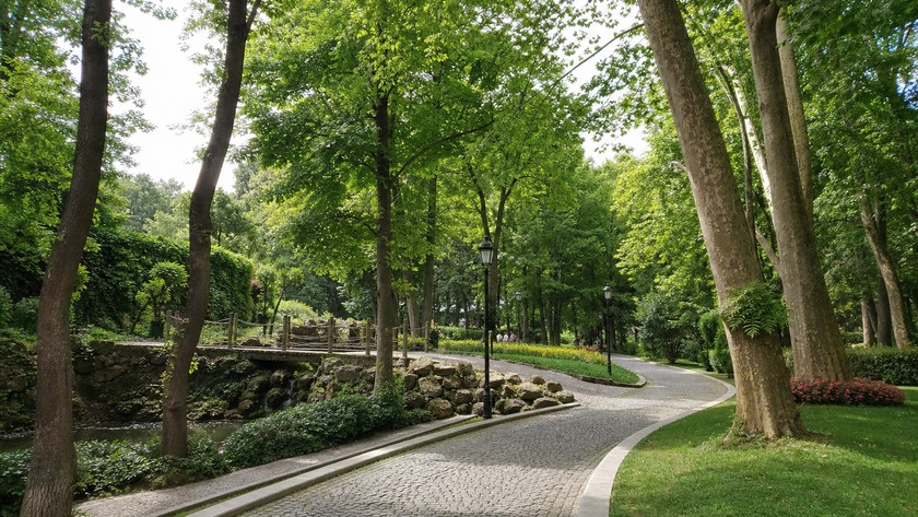 Yıldız Parkı