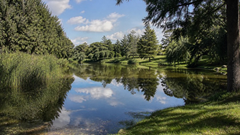 Atatürk Arboretumu göleti