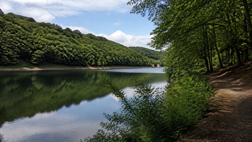 Belgrad Ormanı gölü