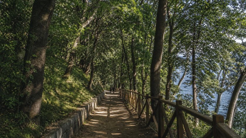 Fethi Paşa Korusu yürüyüş yolu