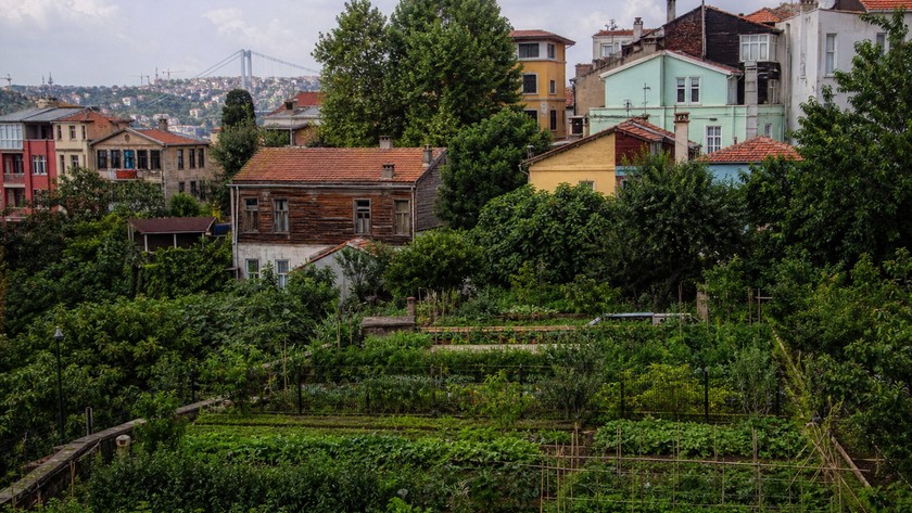 Kuzguncuk Bostanı Rehberi: Mahalle İçinde Yeşil Alan ve Üsküdar Rotası