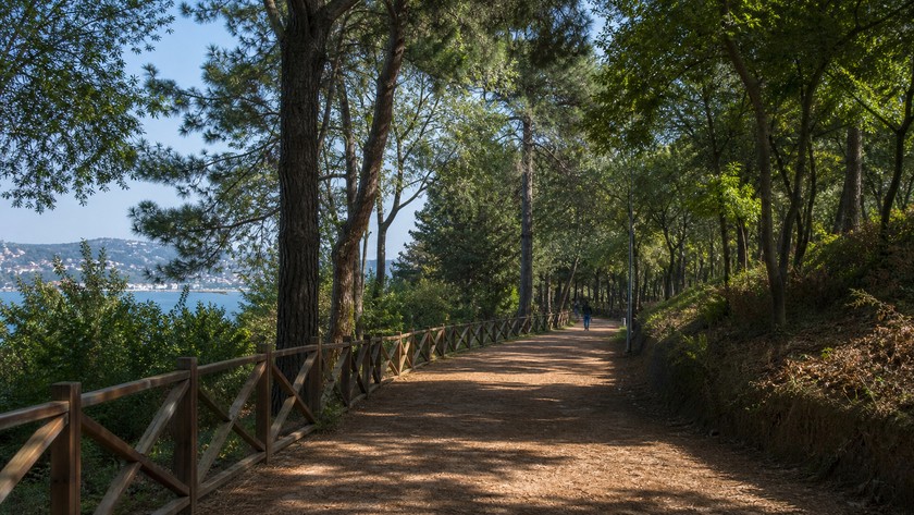 Mihrabat Korusu yürüyüş yolu