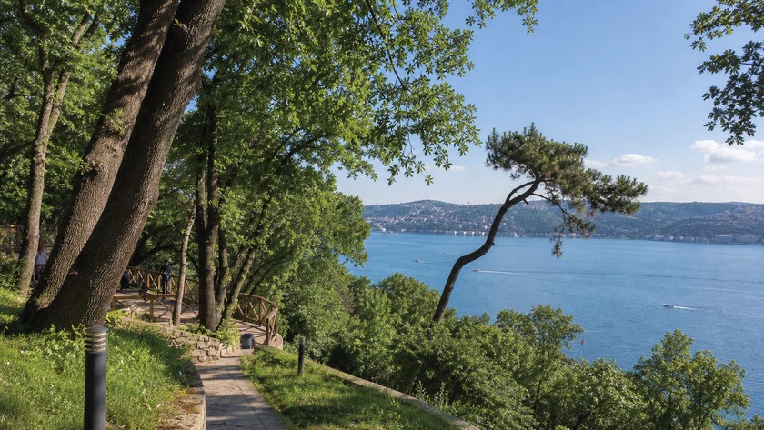 Mihrabat Korusu Rehberi: Nerede, Nasıl Gidilir ve Beykoz Rotası