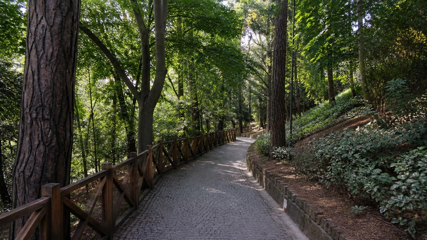 Yıldız Parkı korusu