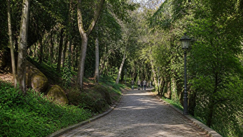 Yıldız Parkı yolu