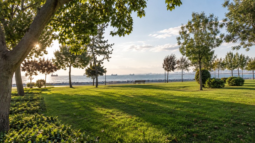 Avcılar park çevresi