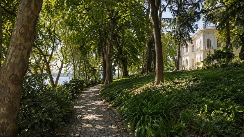Hidiv Kasrı koruluğu