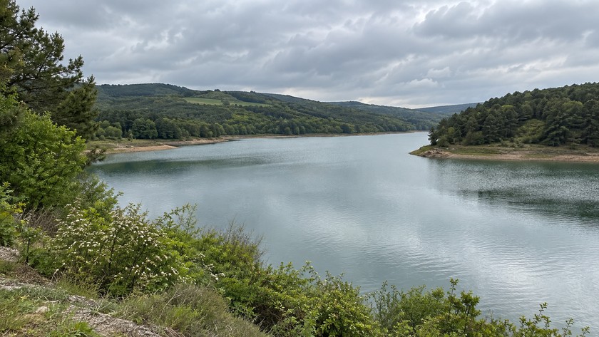 Sazlıbosna