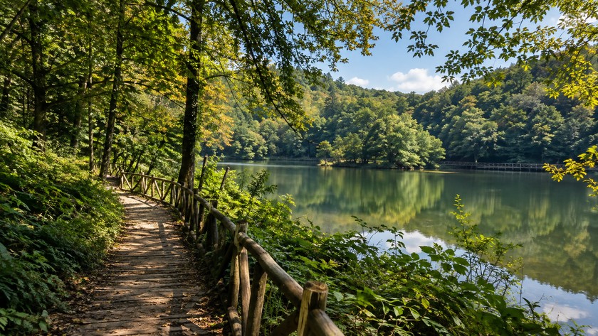 Soğuksu Milli Parkı Rehberi: Beykoz'da Orman ve Doğa Rotası