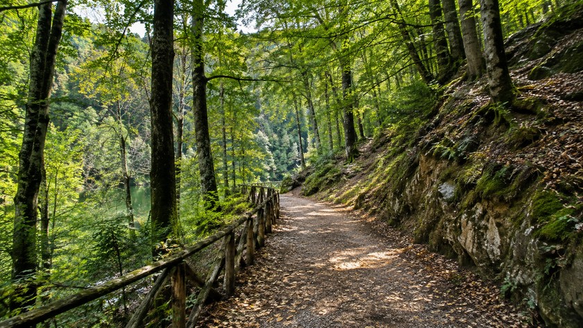 Soğuksu orman yolu