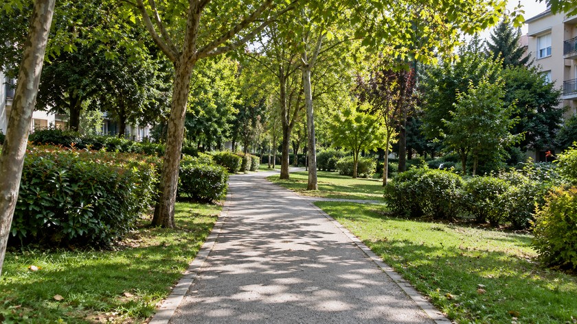 Gümüşpala kent parkında ağaçlı yürüyüş yolu
