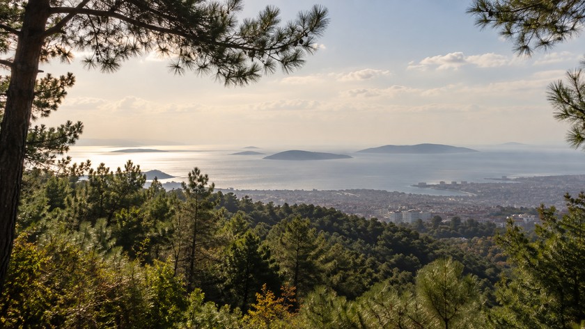 Pendik Gözdağı Korusu Rehberi: Manzara, Yürüyüş ve Ulaşım