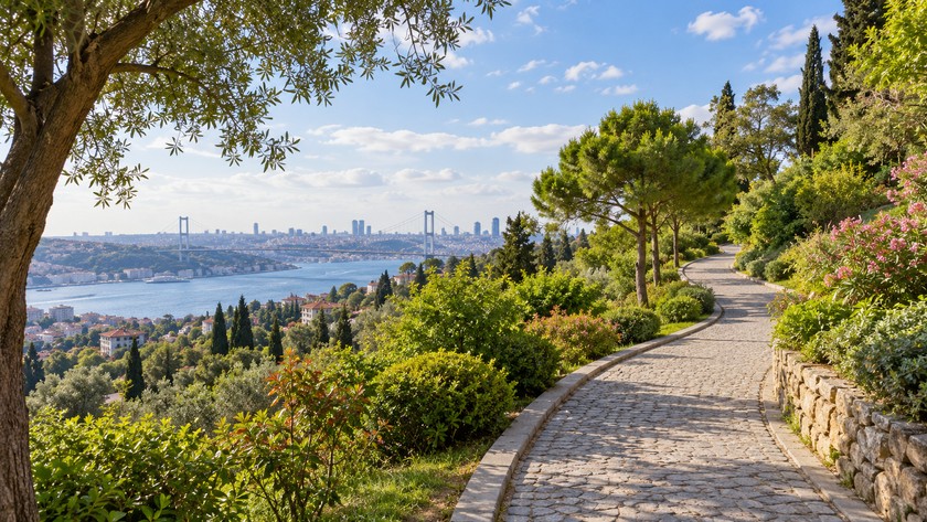 Seyir terası ve yürüyüş yolu