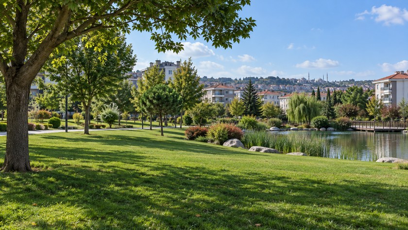 Parkın yeşil alanı